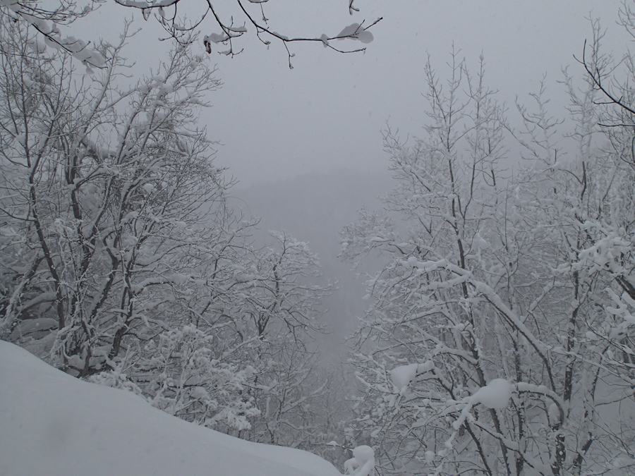 雪風景(2)
